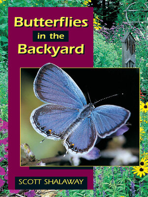 cover image of Butterflies in the Backyard